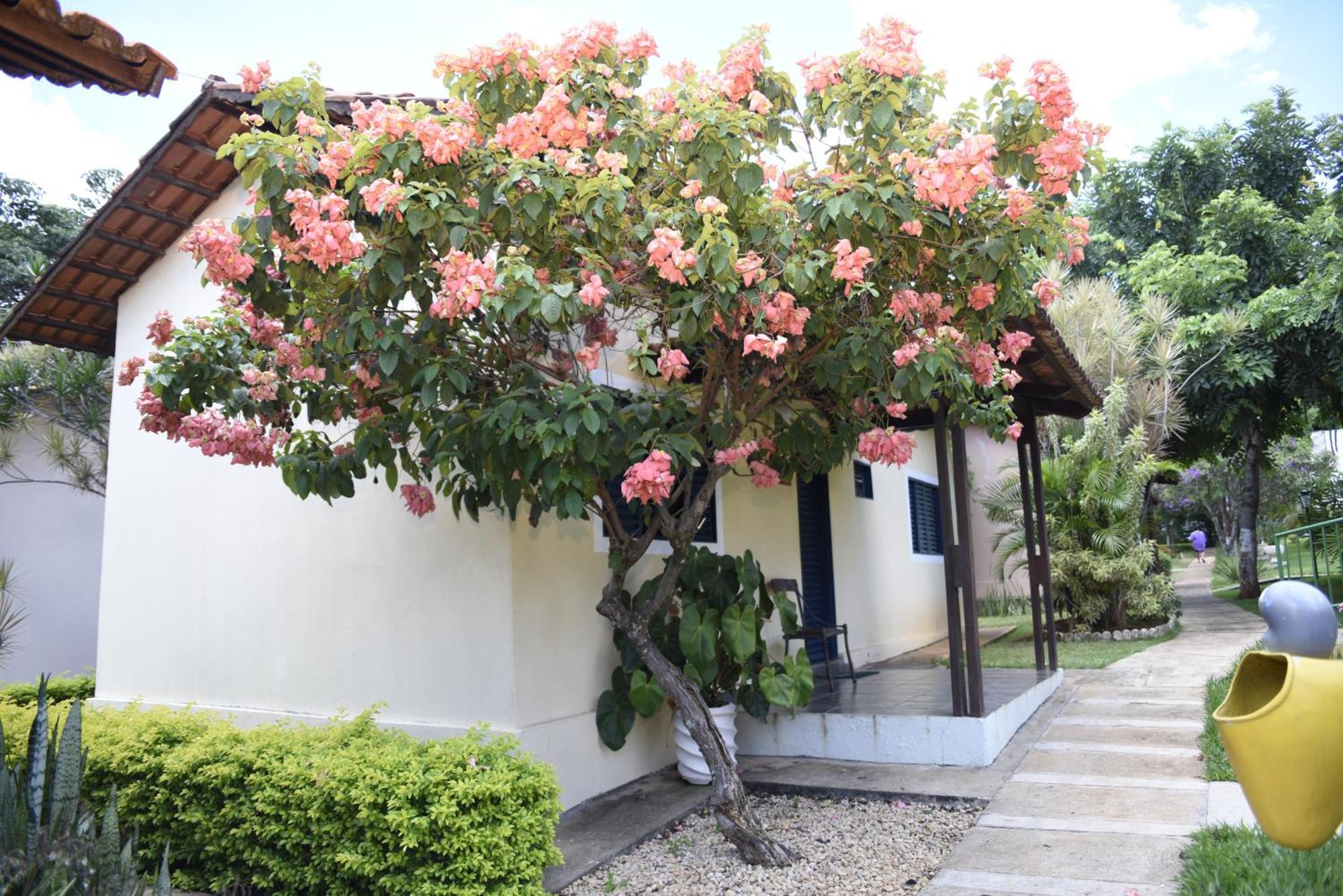 Rosa Spa E Pousada Aparecida de Goiânia Exterior foto